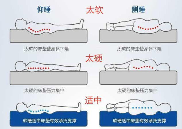 不同床的软硬程度情况